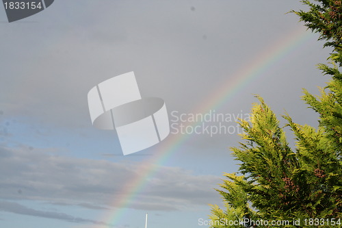 Image of Rainbow