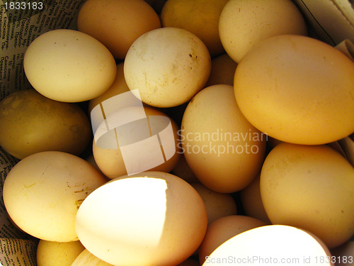 Image of a lot of eggs of the hen