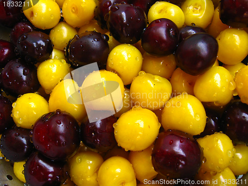 Image of Berries of a fresh cherry