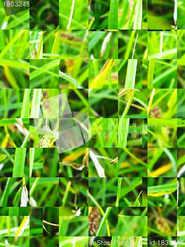 Image of Green abstract background