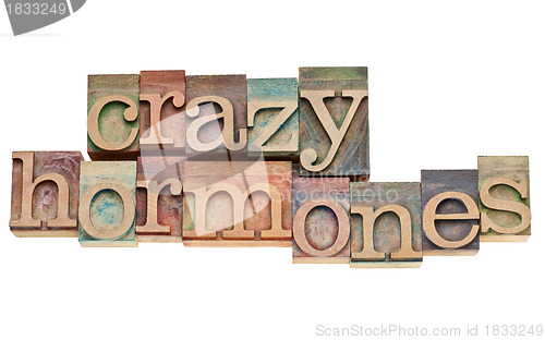 Image of crazy hormones text  in wood type