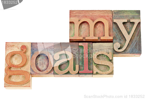Image of my goals text in wood type