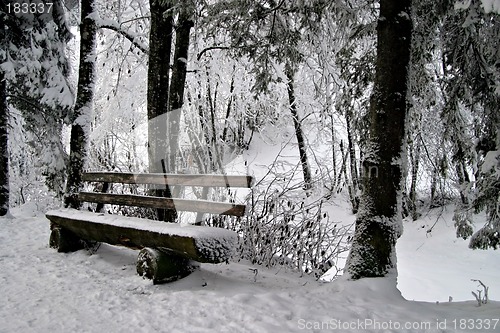 Image of Bench in Snow