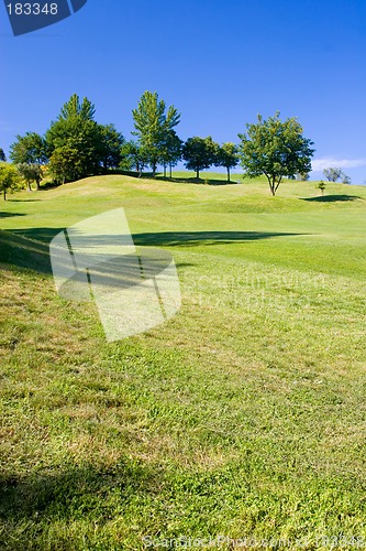 Image of Golf Field