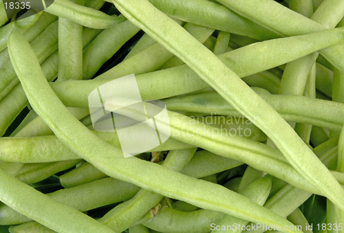 Image of Beans-Snap Green