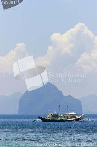 Image of Tourist Boat