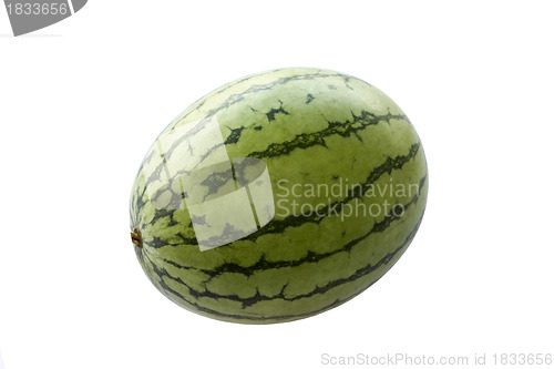 Image of Fresh Watermelon