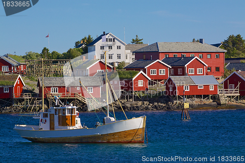 Image of Fishing on Lofoten