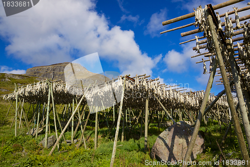 Image of Stockfish