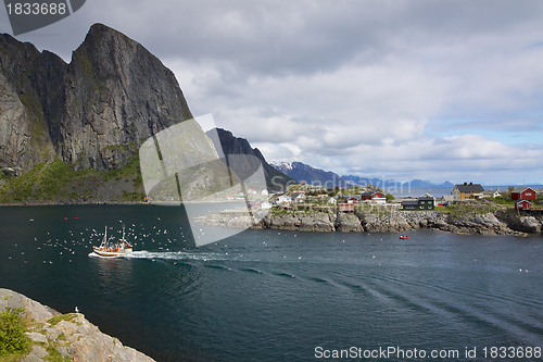 Image of Fishing boat in fjord