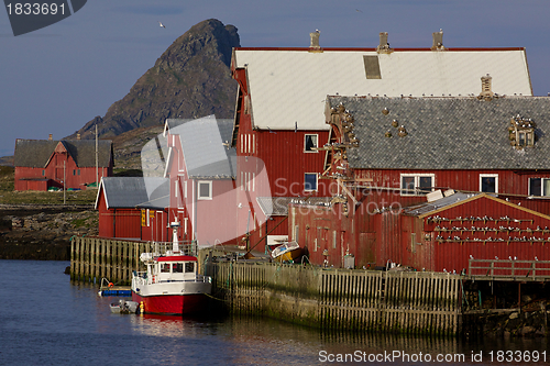 Image of Norwegian fishing harbor