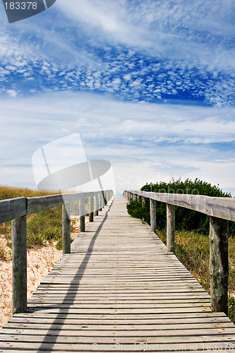 Image of Wood Path