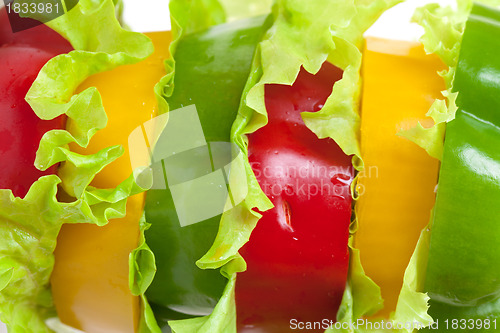 Image of Mixed Bell Pepper with Lettuce
