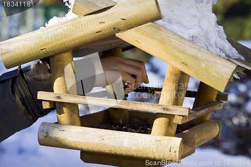 Image of Bird feeder