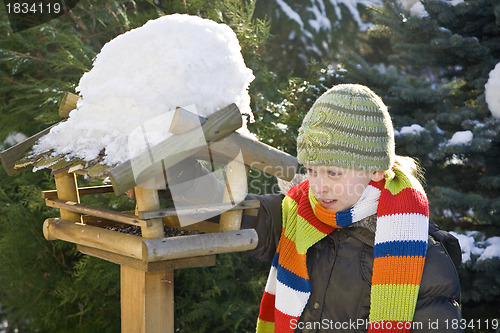 Image of Bird feeder