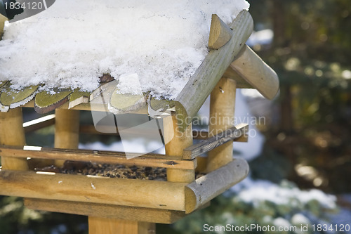 Image of Bird feeder