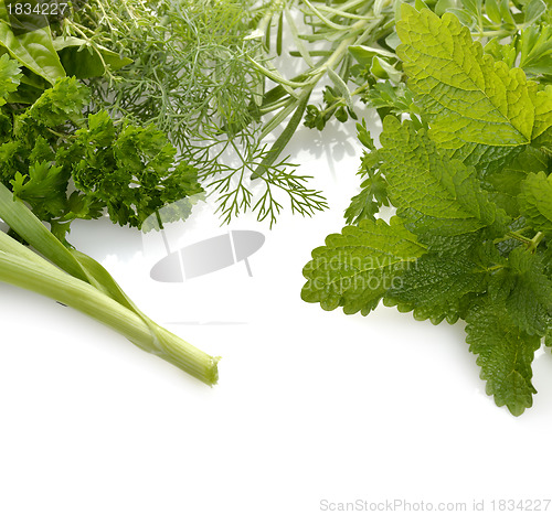 Image of Fresh Herbs