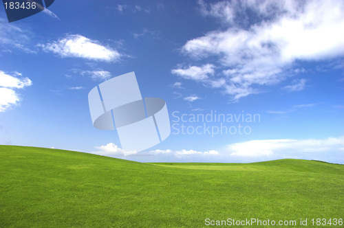 Image of Green field