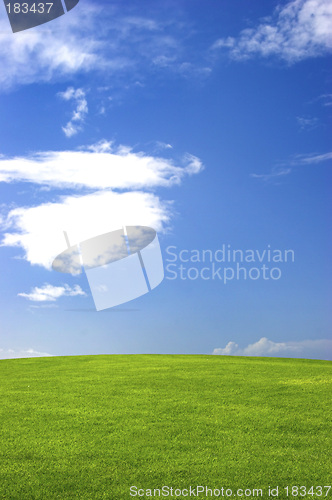 Image of Green field