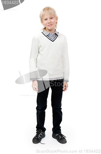 Image of Portrait of a boy in full growth