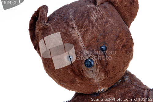 Image of Toys, Portrait of the Old Teddy bear