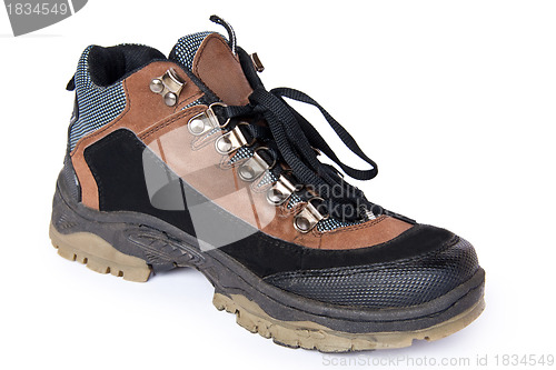 Image of Old shoe