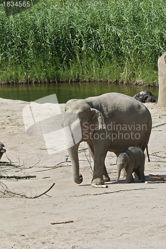 Image of Mother and Son