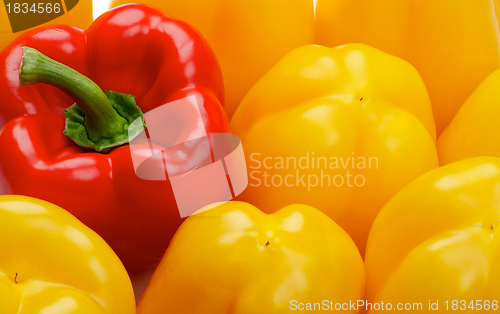 Image of Bell Peppers Background