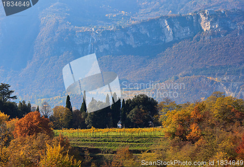 Image of Autumn in mountains of Trentino