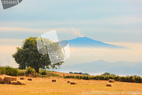 Image of View on Etna from Aspromonte field