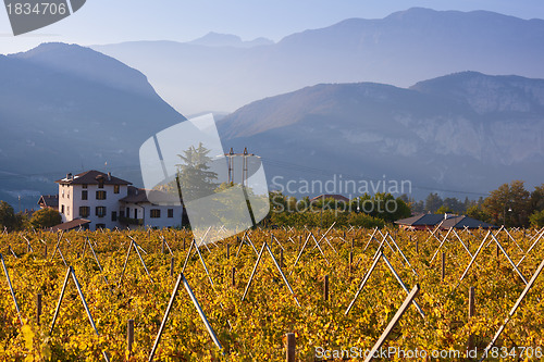 Image of Autumn in mountains