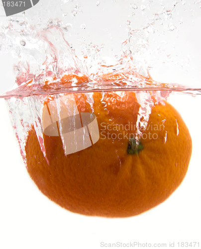 Image of Orange splash