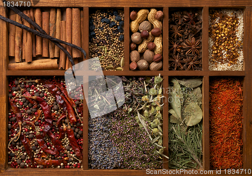 Image of Spices in Wooden Box