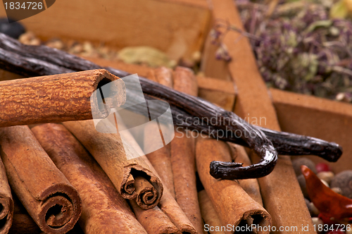 Image of Cinnamon Sticks and Vanilla Pods