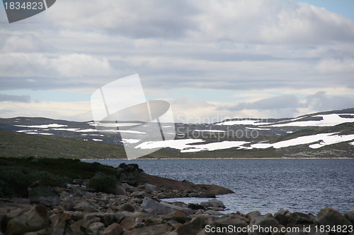 Image of Hardangervidden