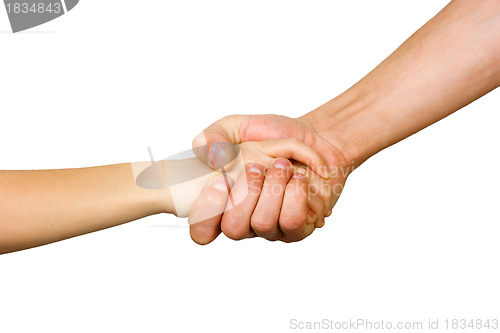 Image of man's hand squeezes the small hand of the child