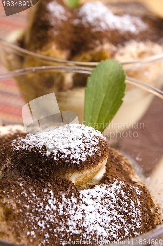 Image of Tiramisu Dessert 