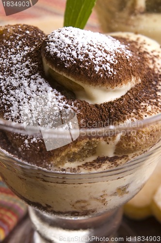 Image of Tiramisu Dessert 