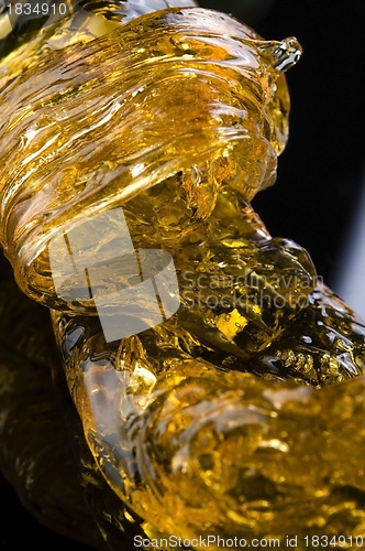 Image of Caramel on the black