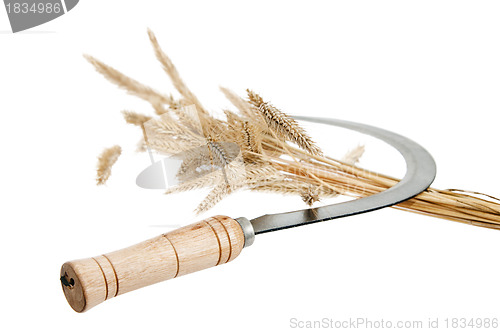 Image of Sickle and rye ears, it is isolated on white