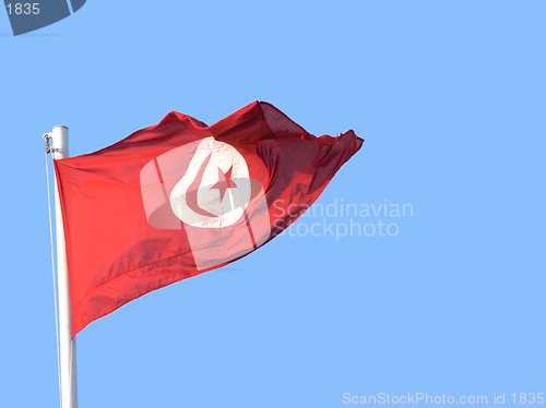 Image of Tunisian flag