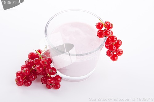 Image of fresh tasty currant yoghurt shake dessert isolated