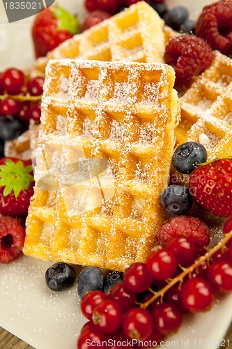 Image of fresh tasty waffer with powder sugar and mixed fruits