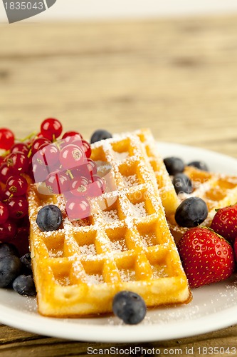 Image of fresh tasty waffer with powder sugar and mixed fruits