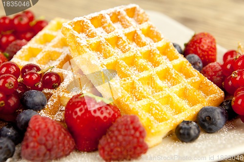 Image of fresh tasty waffer with powder sugar and mixed fruits