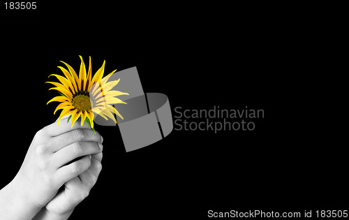 Image of Giving a flower