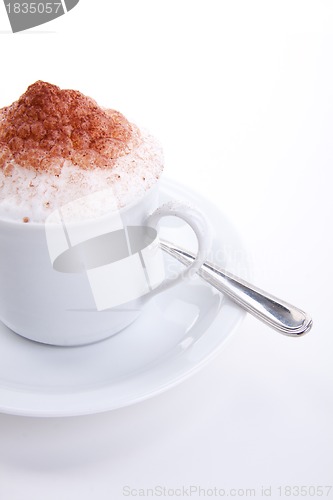 Image of fresh capuccino with chocolate and milk foam isolated