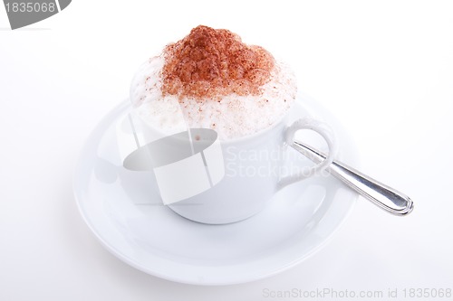 Image of fresh capuccino with chocolate and milk foam isolated