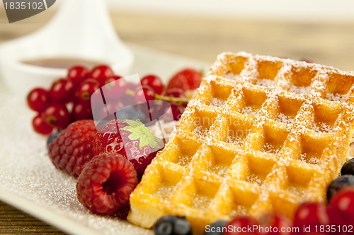 Image of fresh tasty waffer with powder sugar and mixed fruits