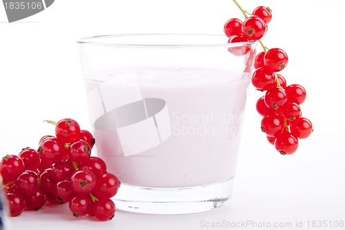 Image of fresh tasty currant yoghurt shake dessert isolated